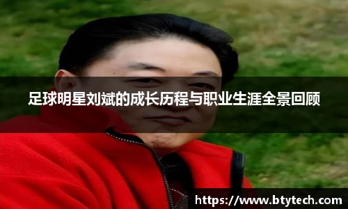 足球明星刘斌的成长历程与职业生涯全景回顾