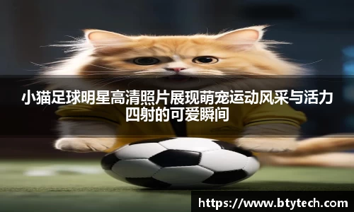 小猫足球明星高清照片展现萌宠运动风采与活力四射的可爱瞬间